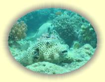 IMG_2007_05_25 14_36_30 * 2272 x 1704 * (587KB)